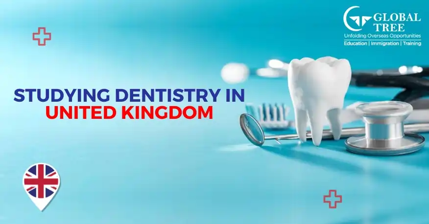 12 Reasons Why You should Study Masters in Dentistry in UK