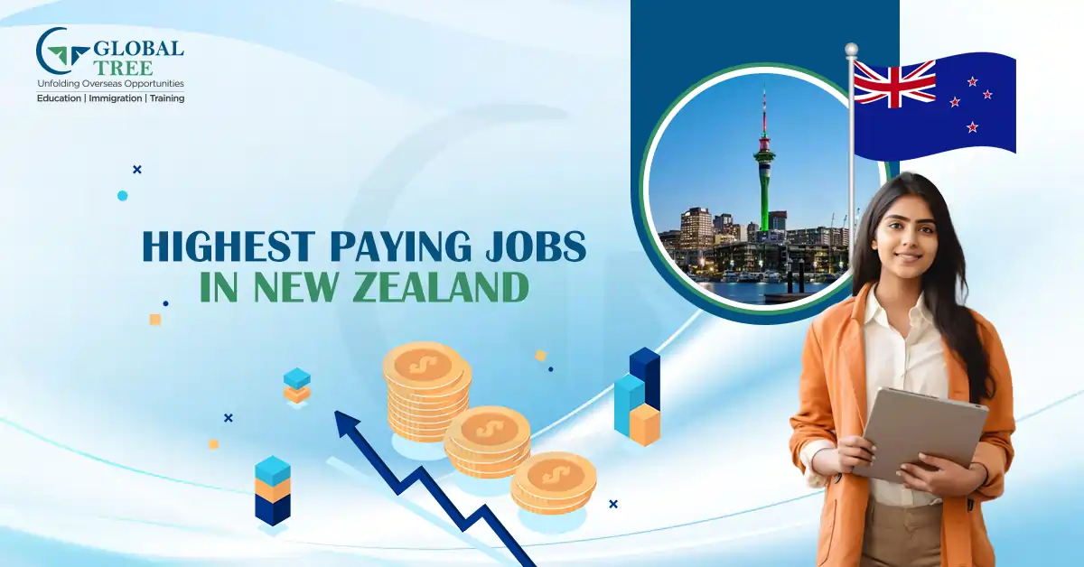 16 Highest paying jobs in New Zealand for {{CYEAR}}