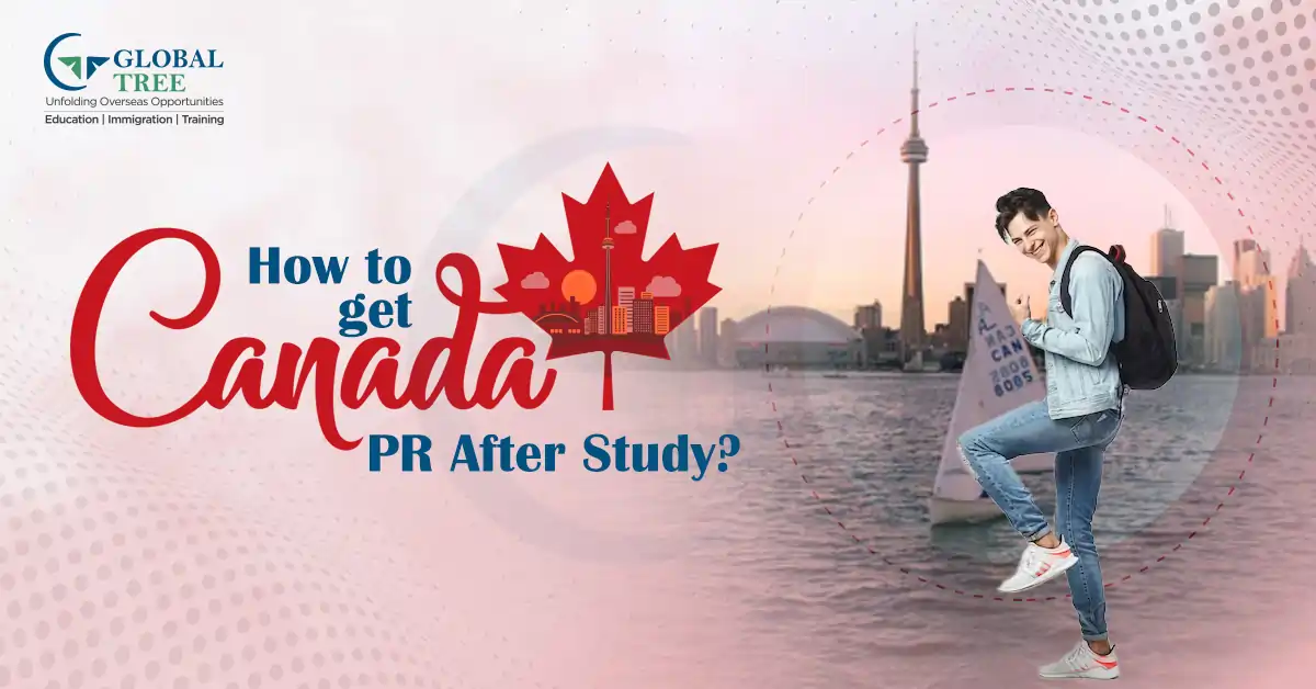 A Comprehensive Guide to Get Canada PR after Study