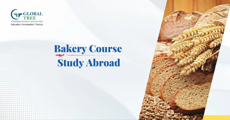 All About Bakery Course to Study Abroad