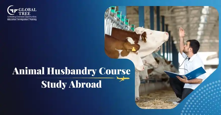 Animal Husbandry Course to Study Abroad