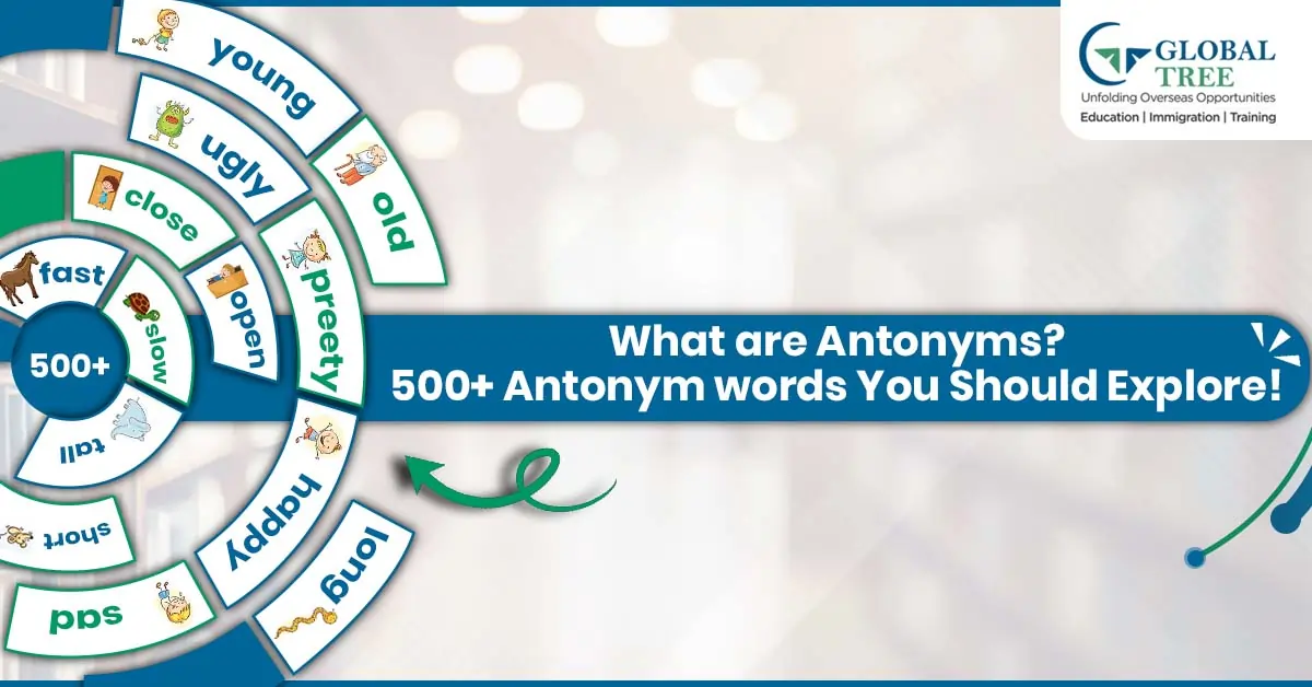 Antonyms: 500+ Antonym words You Should Explore!