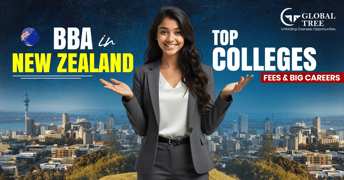 ✅ BBA Study Options in New Zealand with College Fees