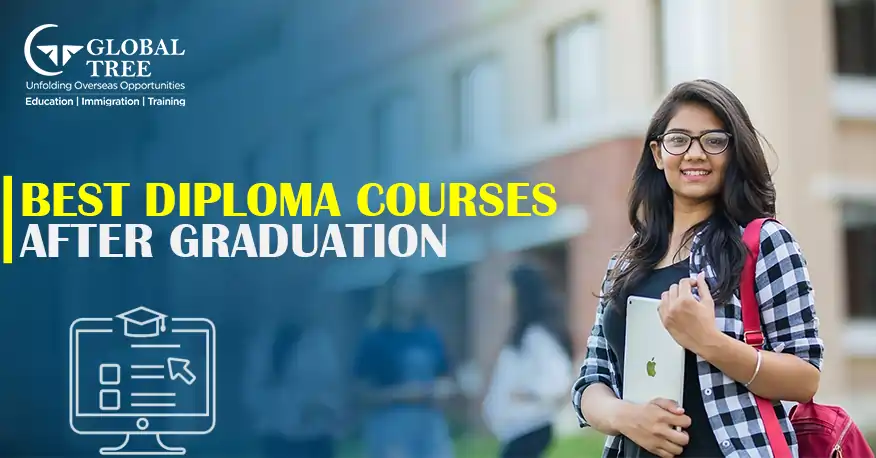 Become a Specialist of your Field with Diploma Courses After Graduation