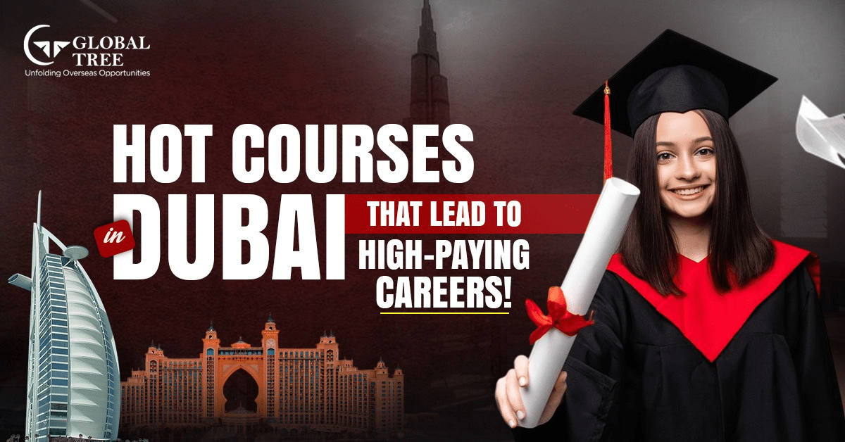 Best Courses to Study in Dubai for International Students