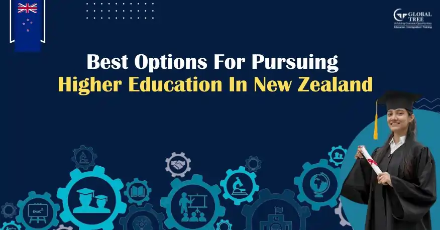 Best Options for pursuing higher education in New Zealand