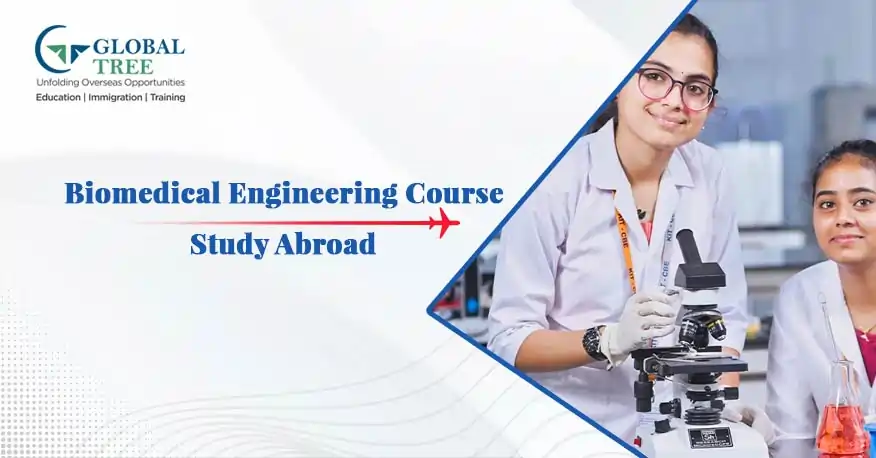 Biomedical Engineering Course to Study Abroad