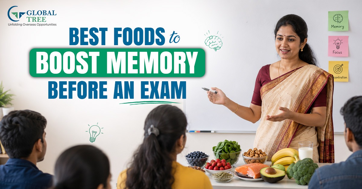 ✅ Boost Your Focus with What to Eat Before an Exam for Memory