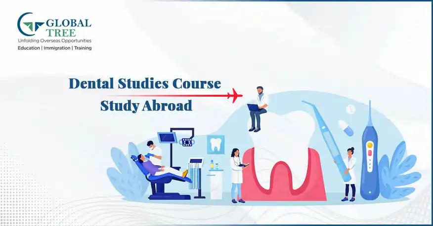 Dental Studies Course to Study Abroad