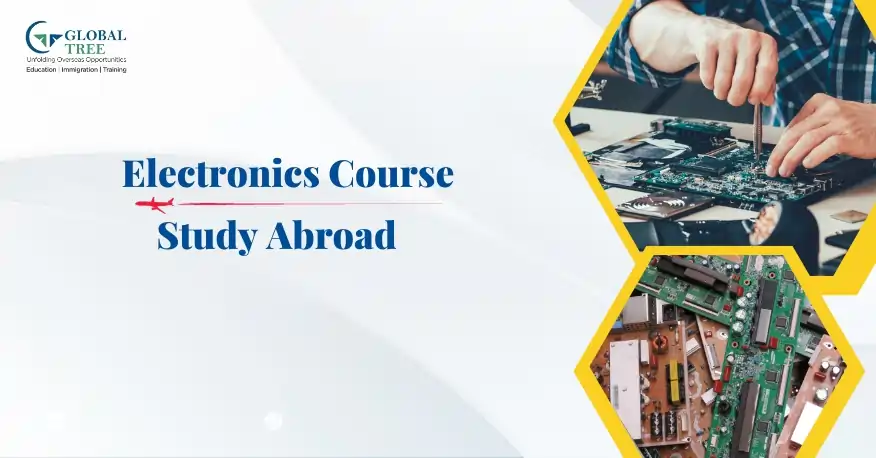Electronic Engineering Course to Study Abroad