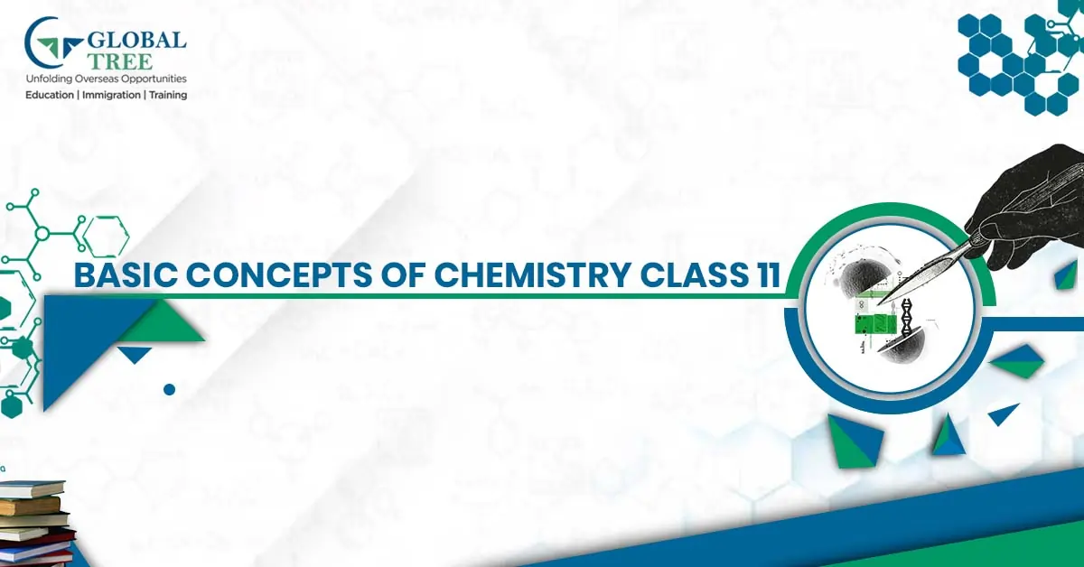 Explore Basic Concepts of Chemistry Class 11