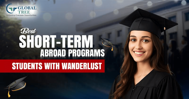 Explore Short-Term Study Abroad Programs That Make a Big Impact