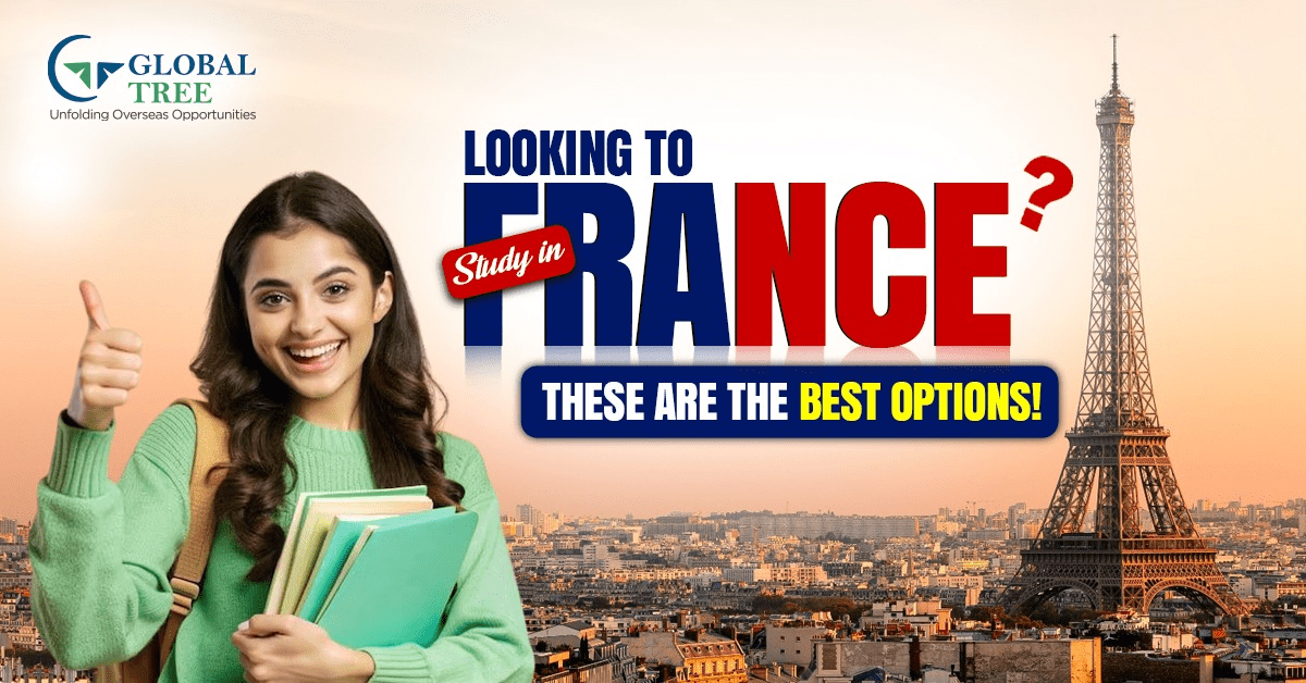 Explore the Top Study Abroad Programs in France for International Students
