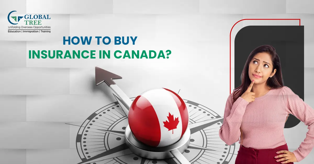 How to Buy Insurance in Canada: A Detailed Guide for International Students