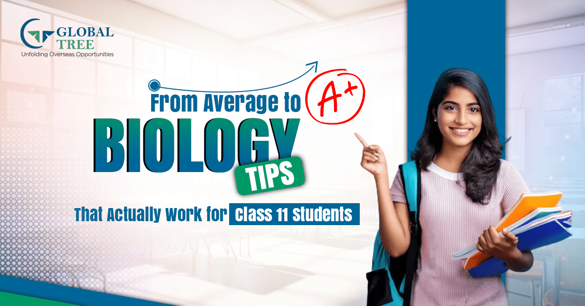 How to score good marks in class 11 Biology exam?