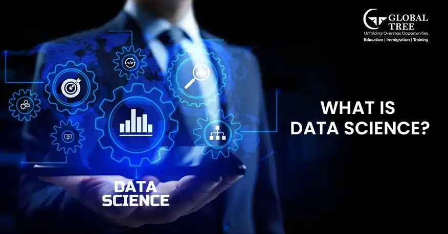 Is Data Science a Good Career Abroad? Heres Everything You Should Know
