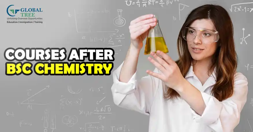 All Types of Courses After BSc Chemistry