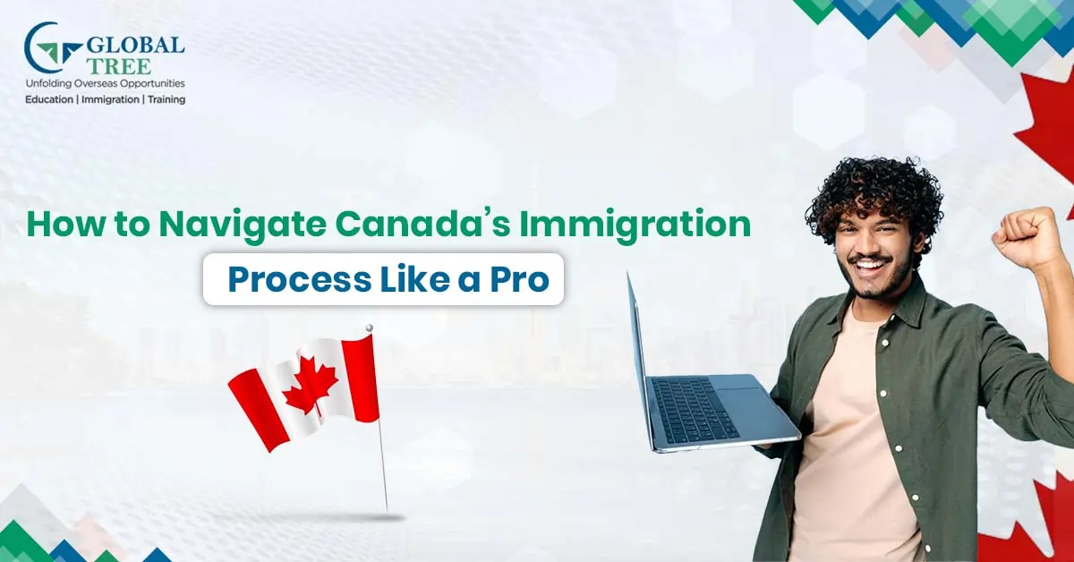 Navigation for Successful Canada Immigration