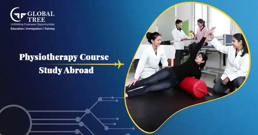 Physiotherapy Course to Study Abroad