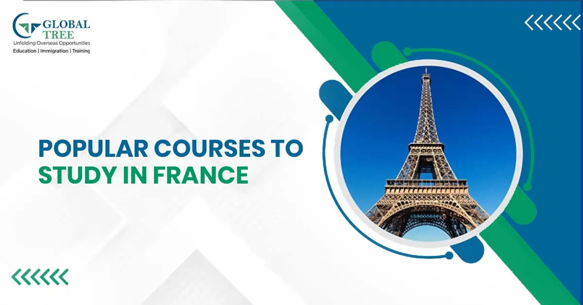 Popular Courses to Study in France