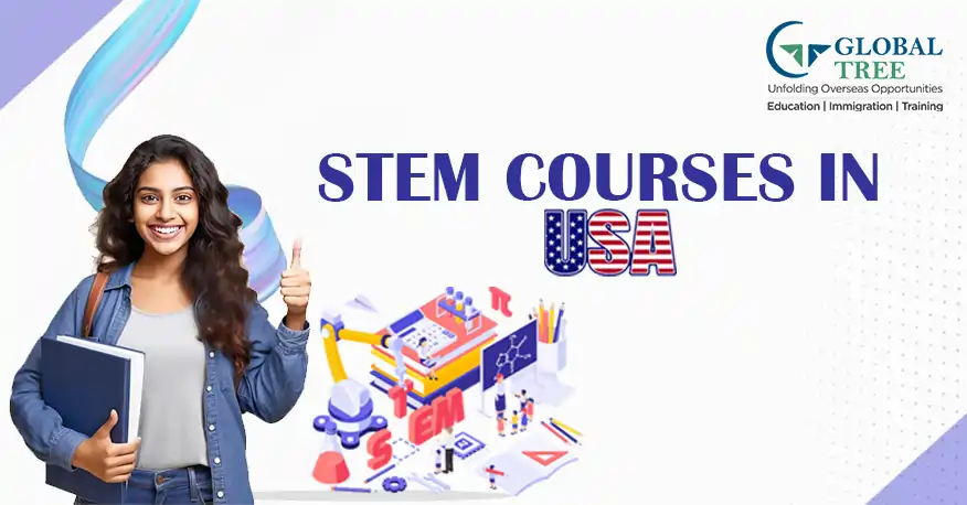 STEM Courses in the USA
