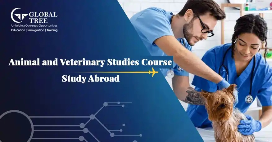 Study Animal and Veterinary Studies Course Abroad