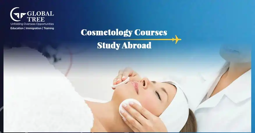 Study Cosmetic Surgery Course to Study Abroad