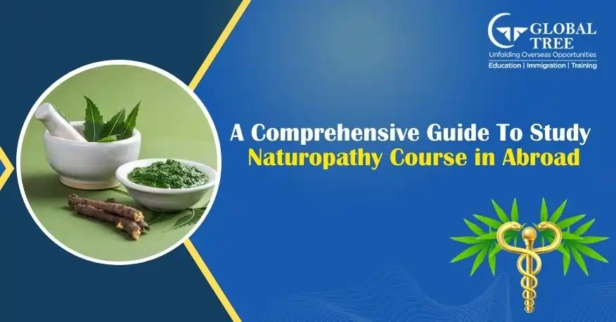 Study Naturopathy Courses Abroad: Your Guide to the Best Schools and Programs