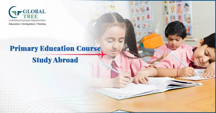 Study Primary Education Course to Study Abroad