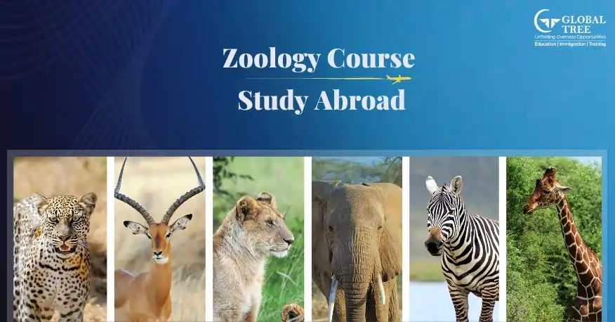 phd in zoology abroad with scholarship