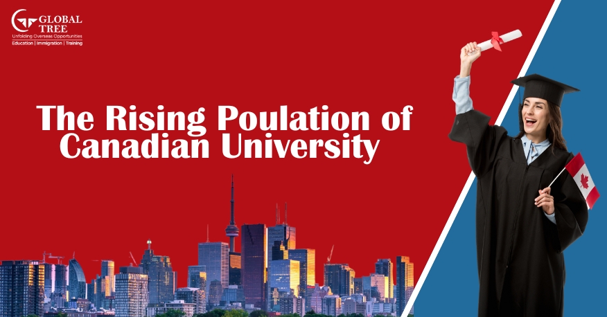 The Rising Popularity of Canadian Universities