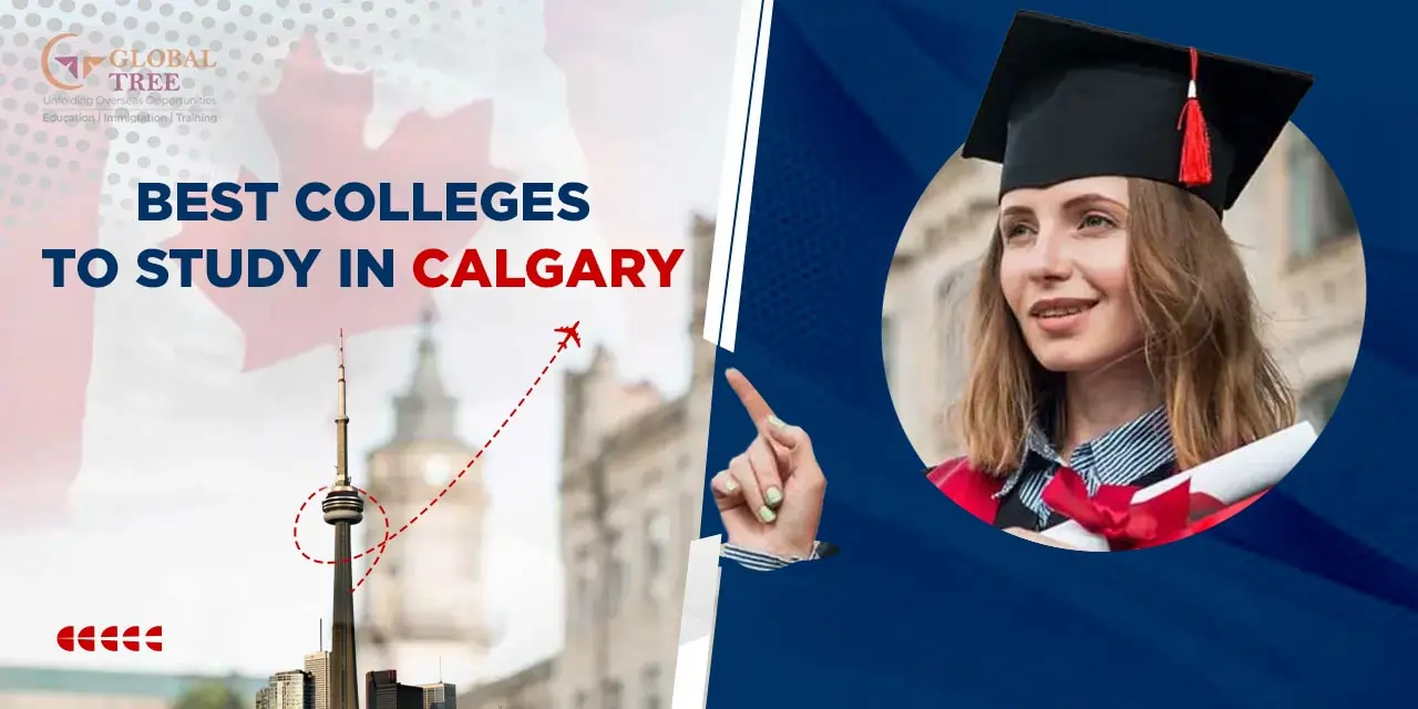 Top Colleges in Calgary for International Students