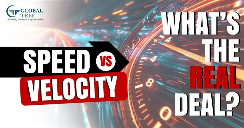 What is Speed and Velocity