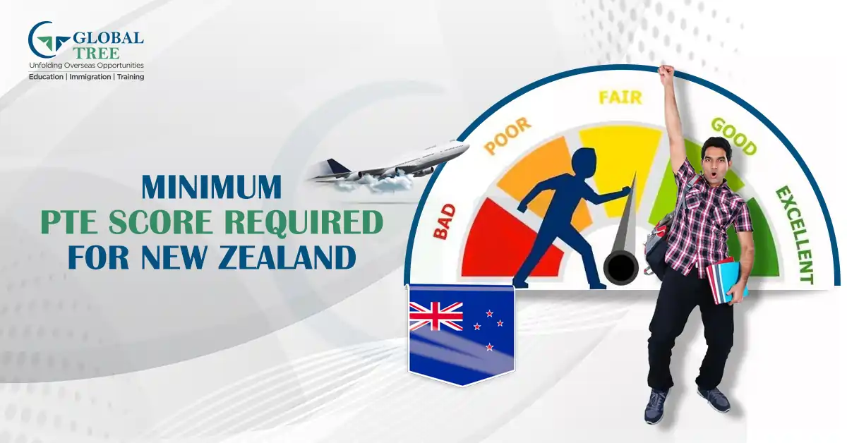 What is the Minimum PTE Score Required for New Zealand?